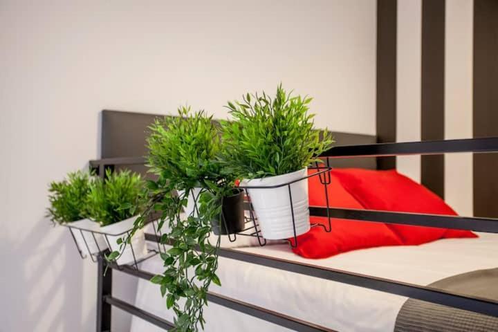Cool Lofts Center Valencia Hotell Exteriör bild